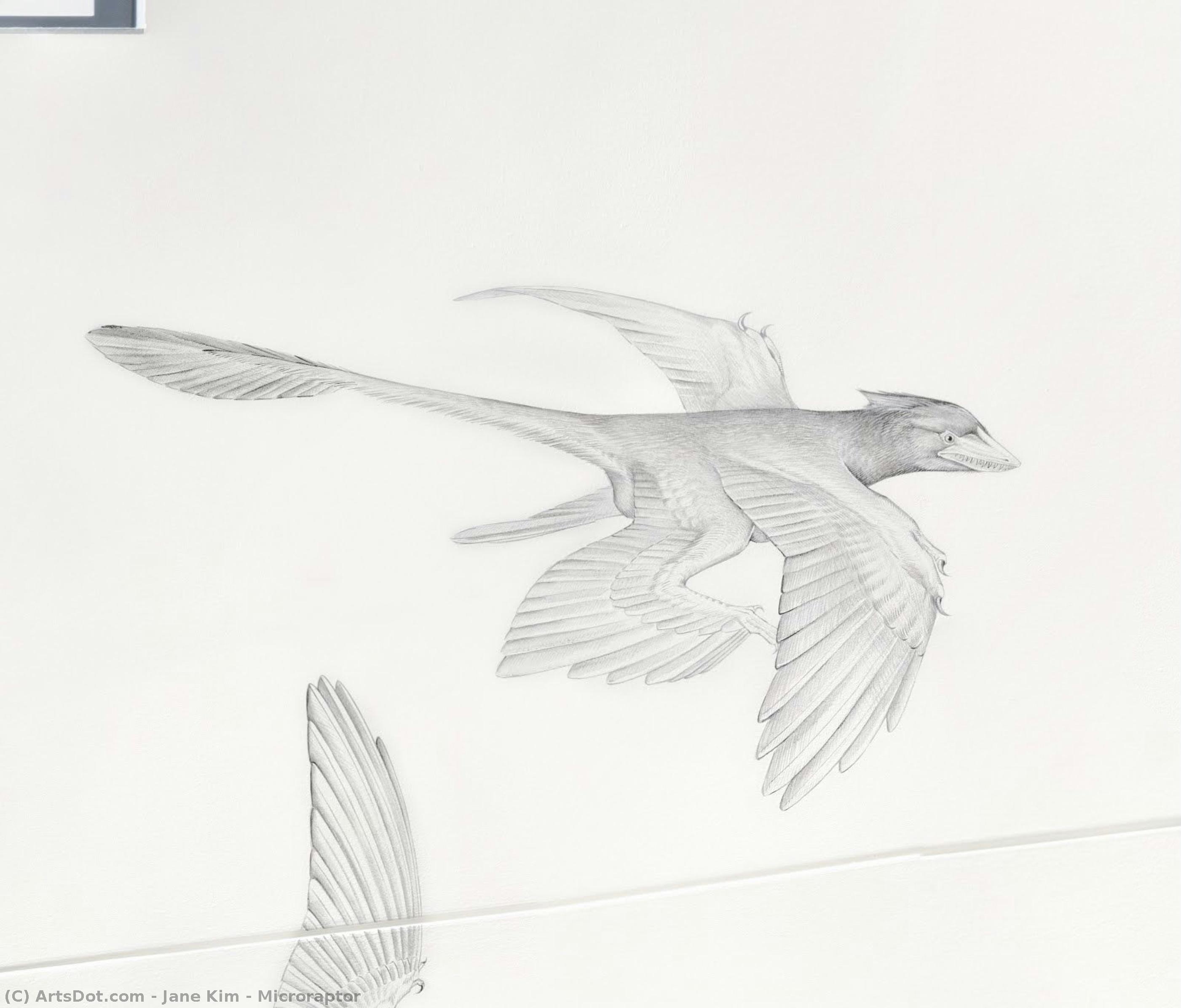 Microraptor — Jane Kim