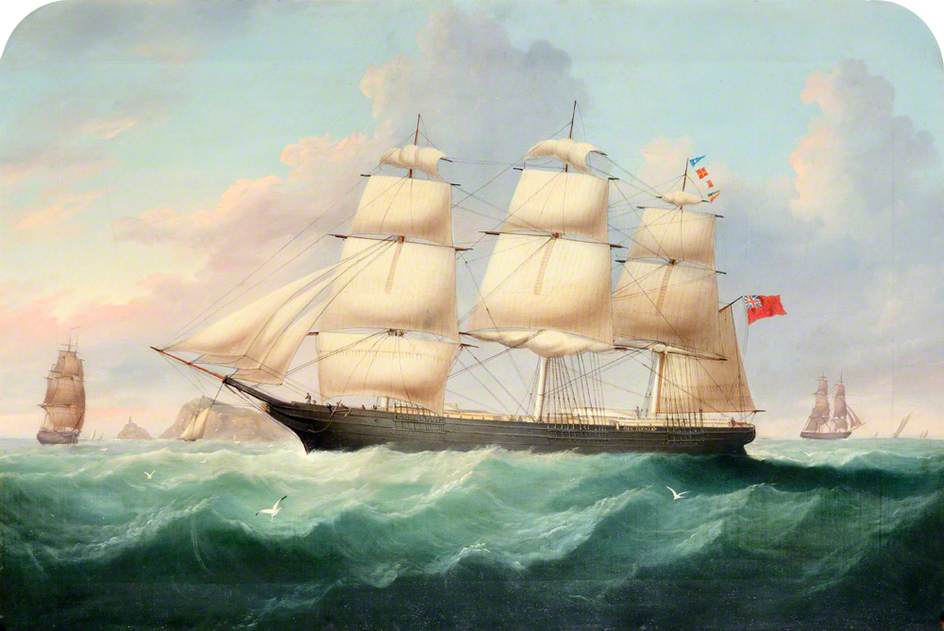 'sea Flower' — Francis Hustwick