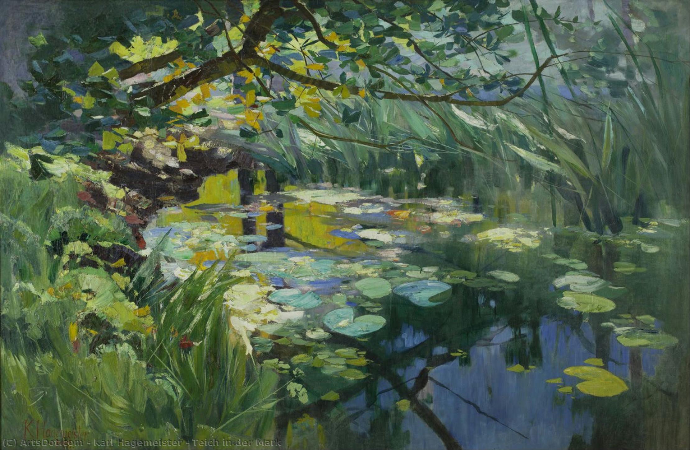 Teich In Der Mark — Karl Hagemeister