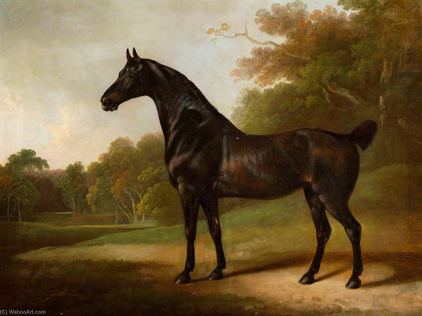 A Bay Horse In A Wooded Landscape — Charles Henry Schwanfelder