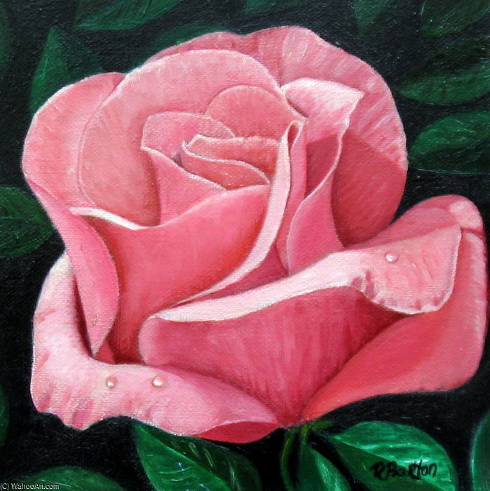 Tea Rose — Роза Мейнард Бёртон
