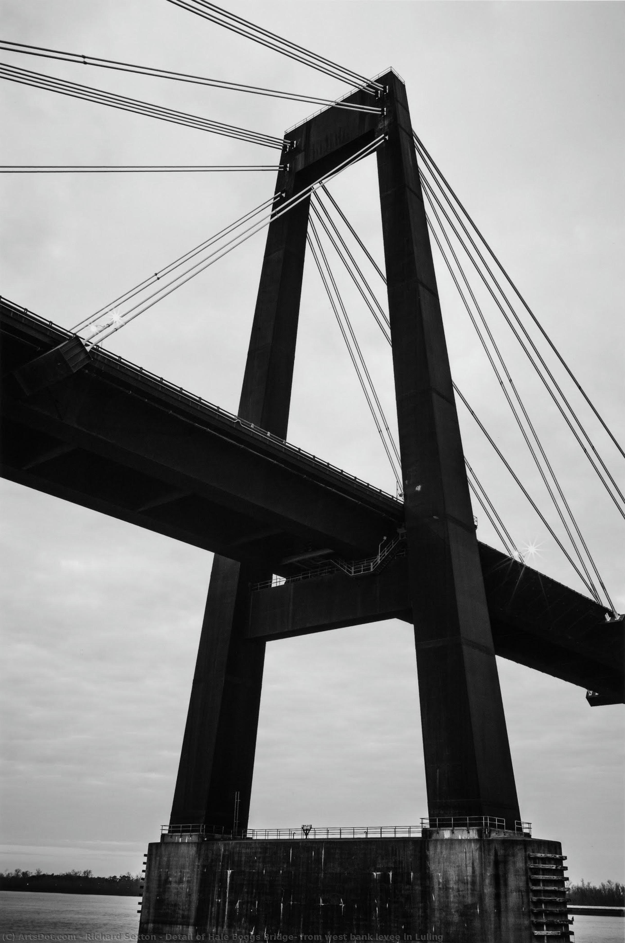 Detail Of Hale Boggs Bridge; From West Bank Levee In Luling — Richard Sexton