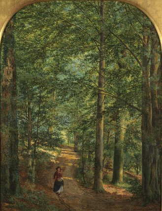 In The Woods — Edmund George Warren