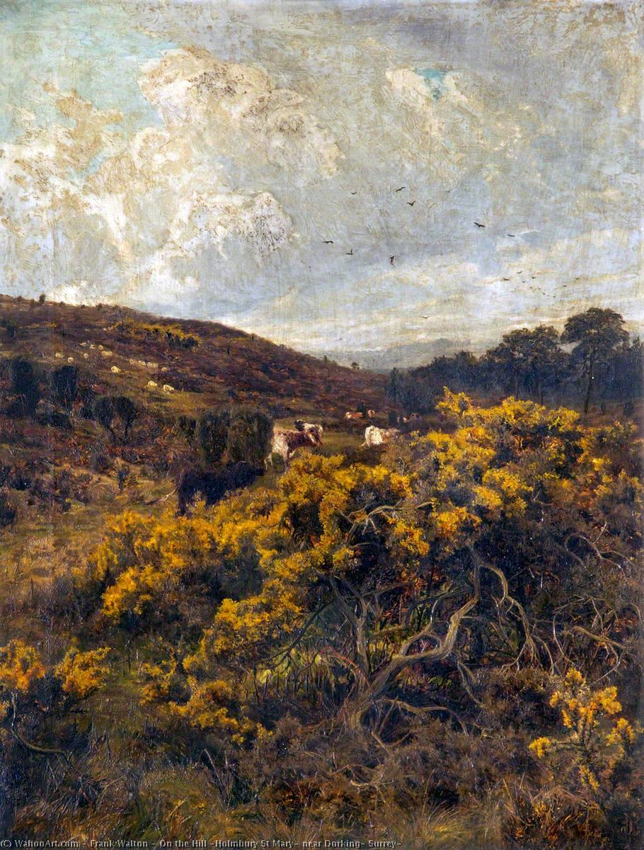 On The Hill (holmbury St Mary, Near Dorking, Surrey) — Frank Walton