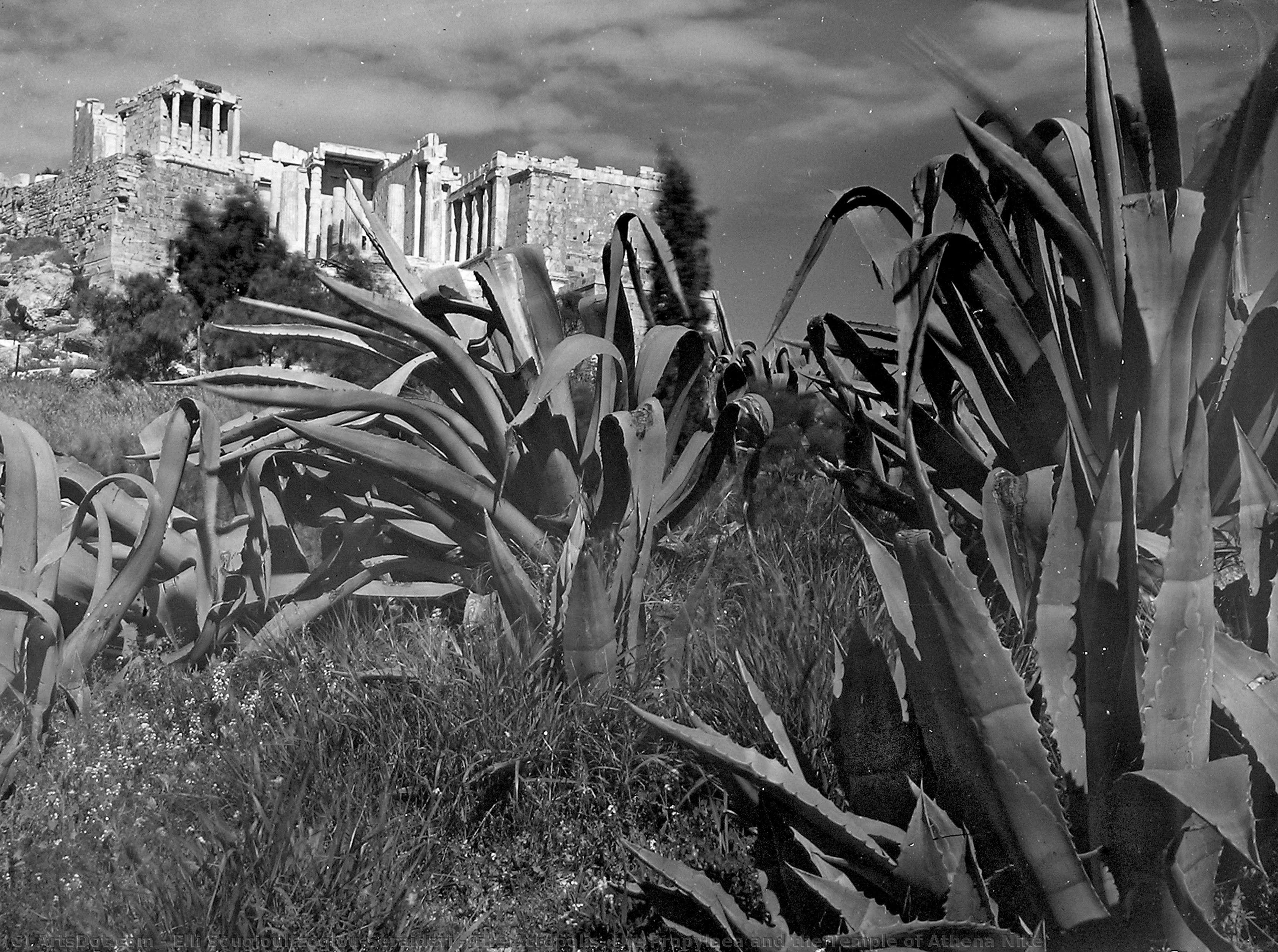 The Acropolis: The Propylaea And The Temple Of Athena Nike — Elli Seraidari