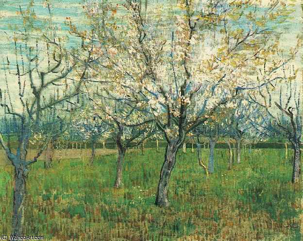 Abricotiers En Fleurs — Vincent Willem Van Gogh