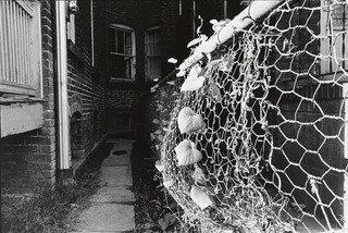 Untitled (wilkes Barre, Pennsylvania) — Mark Cohen