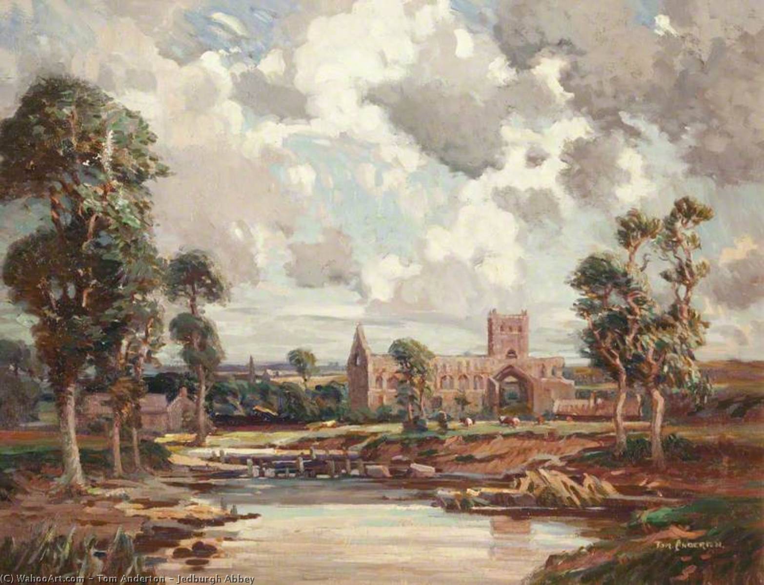 Jedburgh Abbey — Tom Anderton