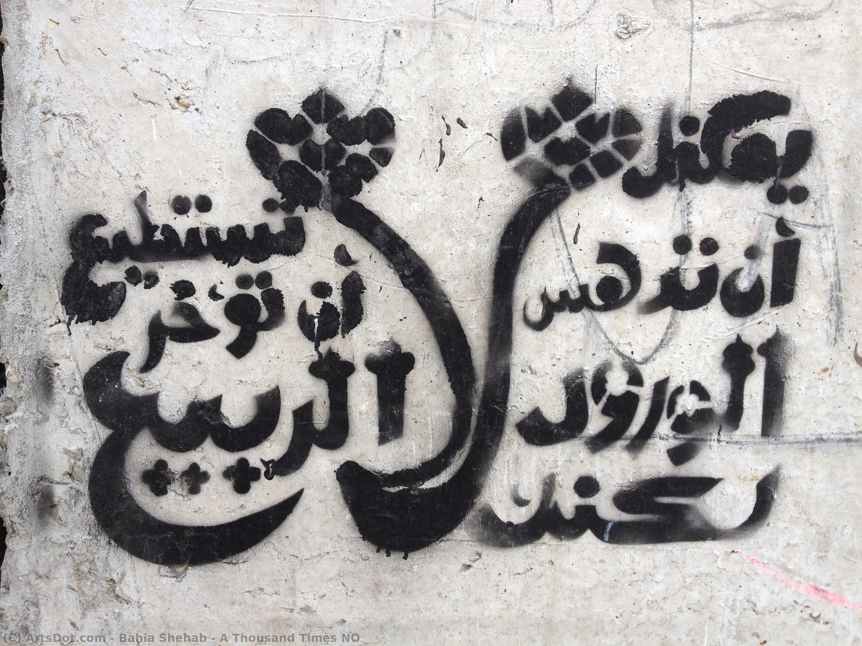 A Thousand Times No — Bahia Shehab