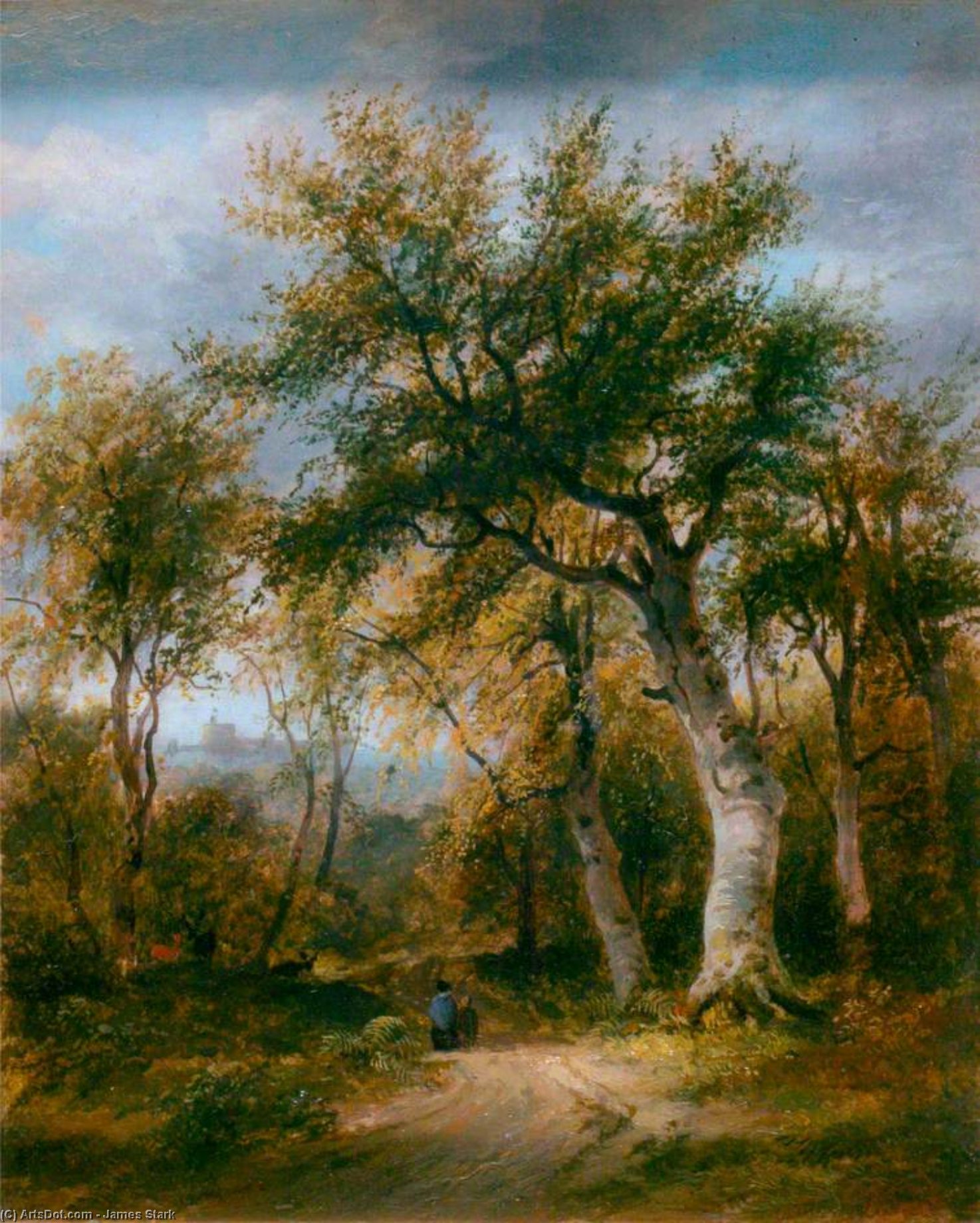 Distant View Of Windsor — Джеймс Стэрт
