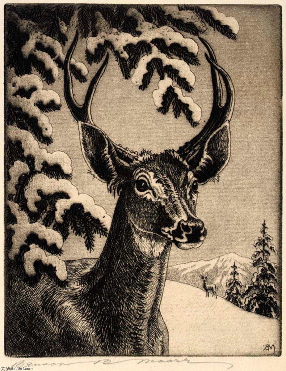 Virginia Deer — Benson B Moore