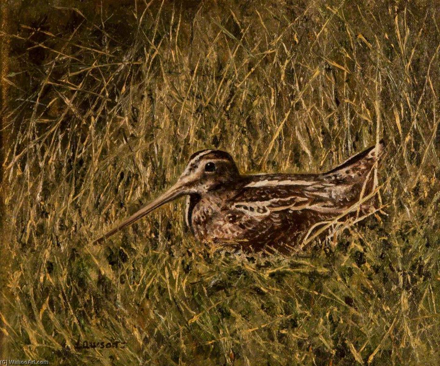 Seabird On A Nest — John Andrew Lawson