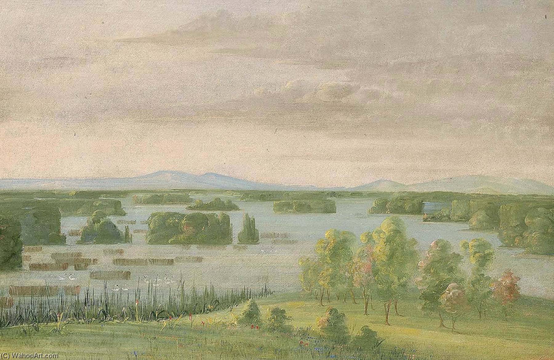 Lac Du Cygne (swan Lake), Near The Coteau Des Prairies — George Catlin
