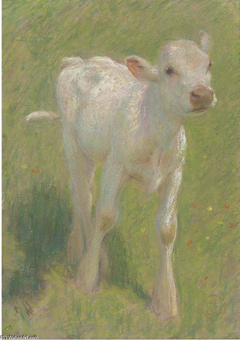 Study Of A Calf In A Summer Meadow — Edward William Stott