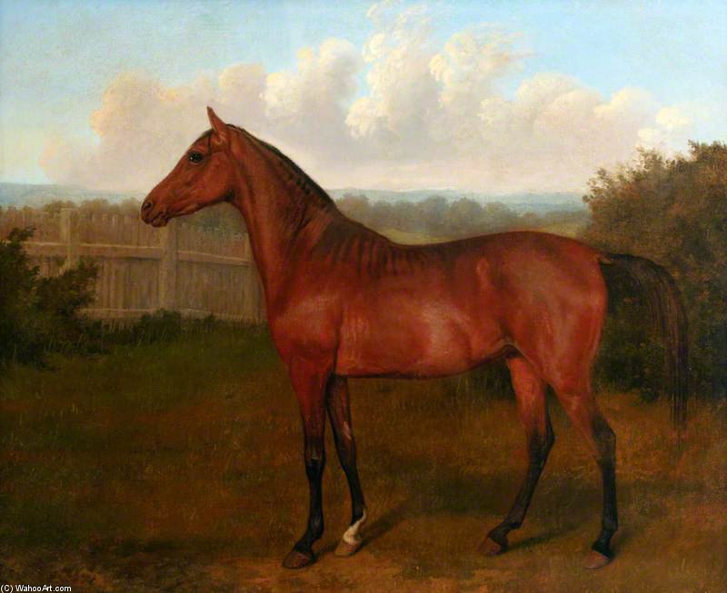Colt Of Mare And Arab Horse — ジャック・ローラン・アガッセ