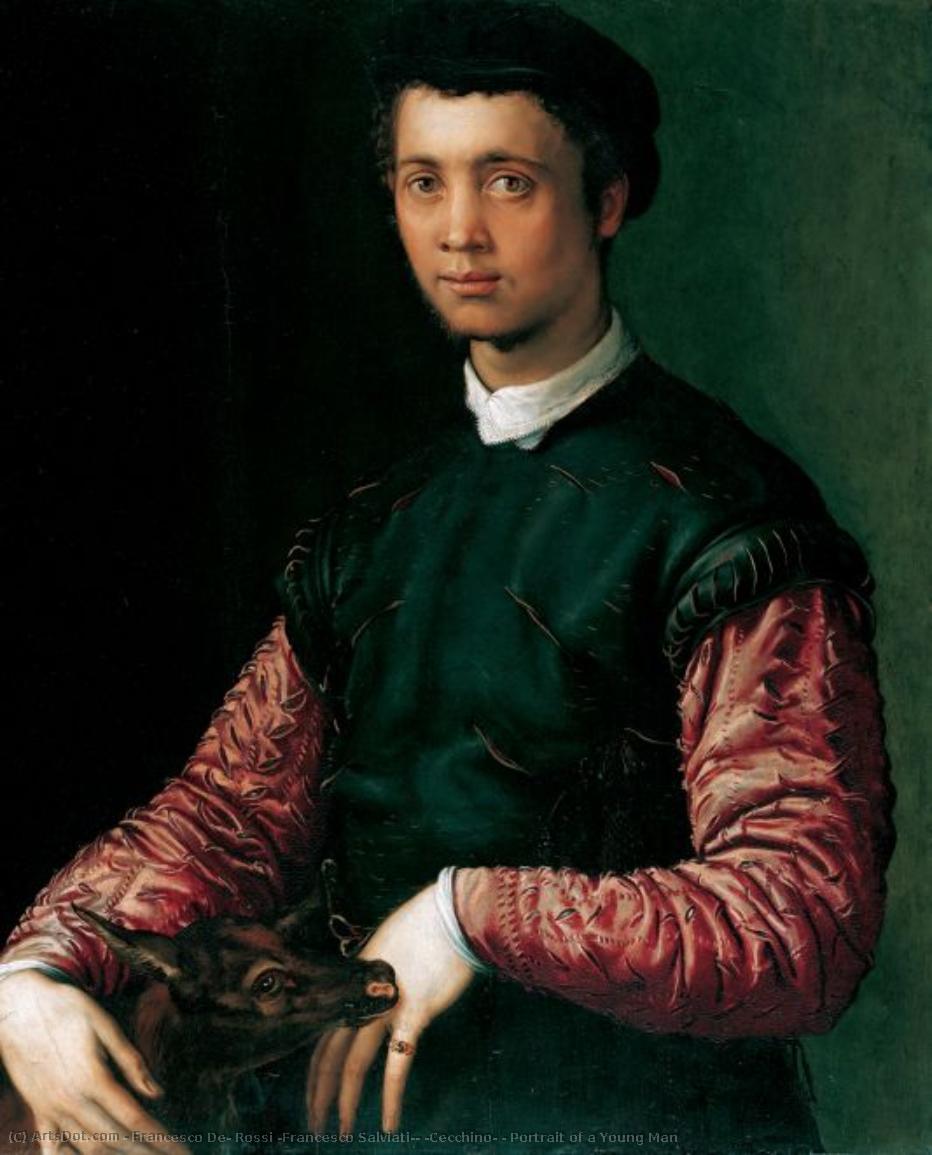 Portrait Of A Young Man — Francesco De Rossi (francesco Salviati) (cecchino)