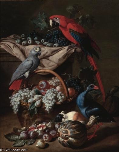 Still Life With Two Parrots, A Guinea Pig — Jacob Van Der (giacomo Da Castello) Kerckhoven