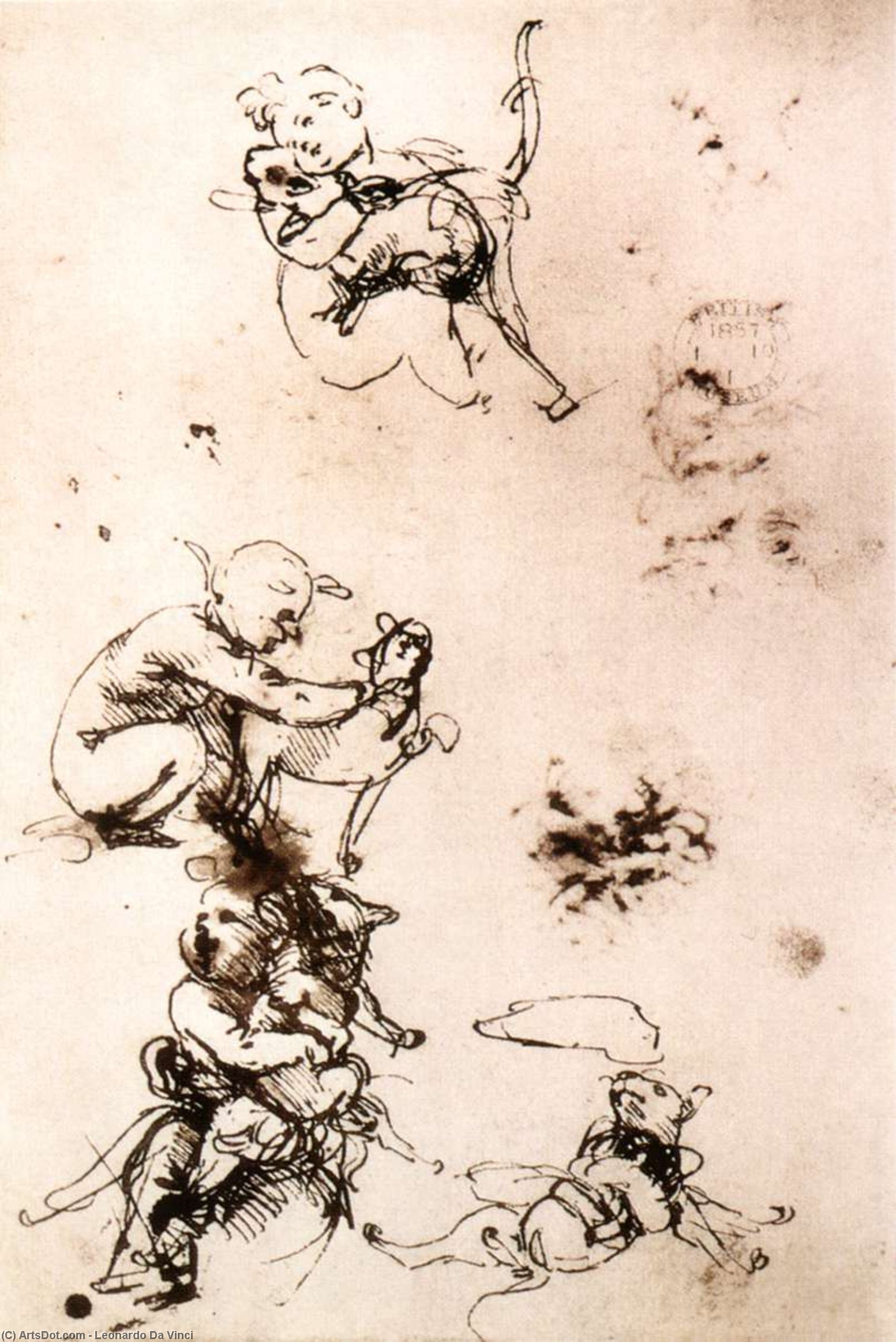 Study Of A Child With A Cat — Leonardo Da Vinci