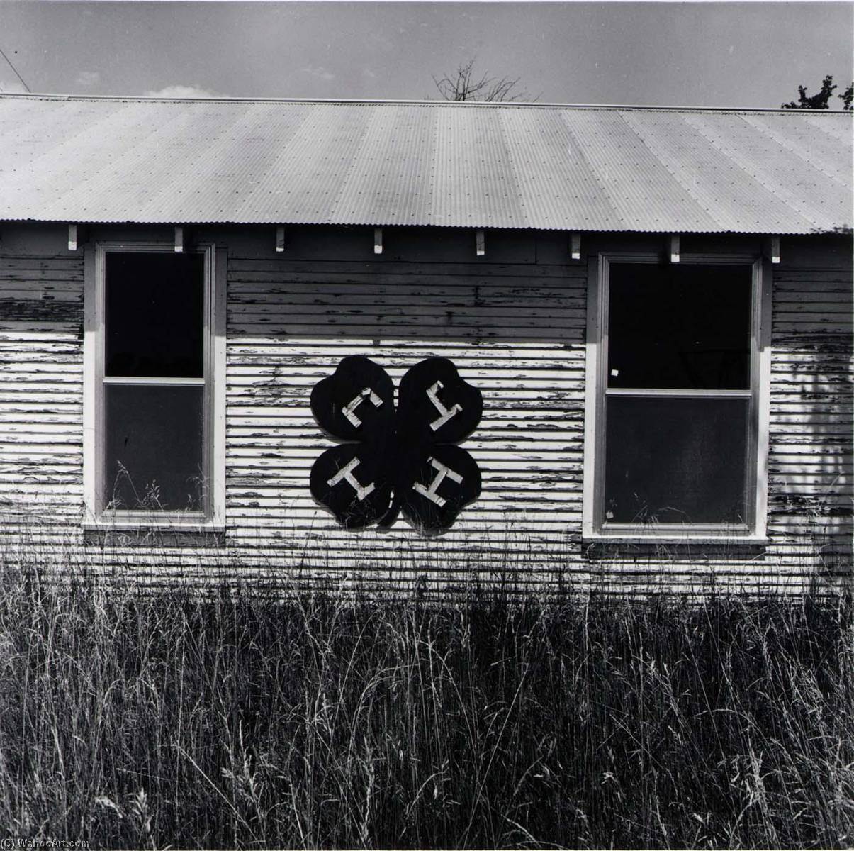 4 H, Chase County, From The Kansas Documentary Survey Project — Larry W Schwarm