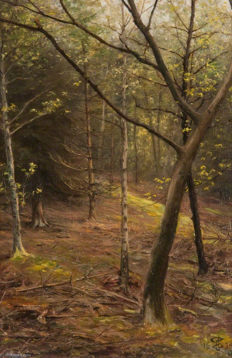 In A Wood In May — John Stewart