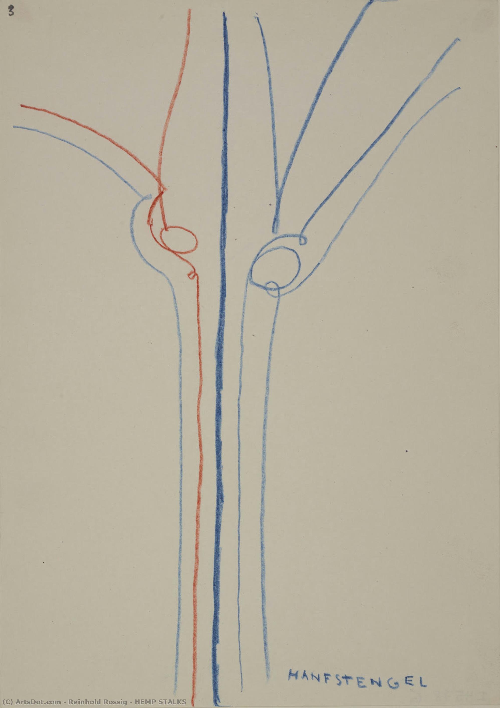 Hemp Stalks — Reinhold Rossig