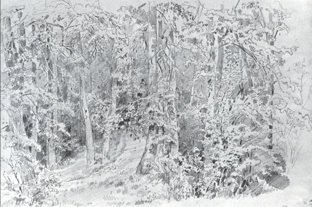 In Deciduous Forest — Ivan Ivanovich Shishkin