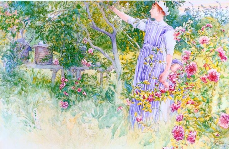 Beehives And Roses — Carl Larsson