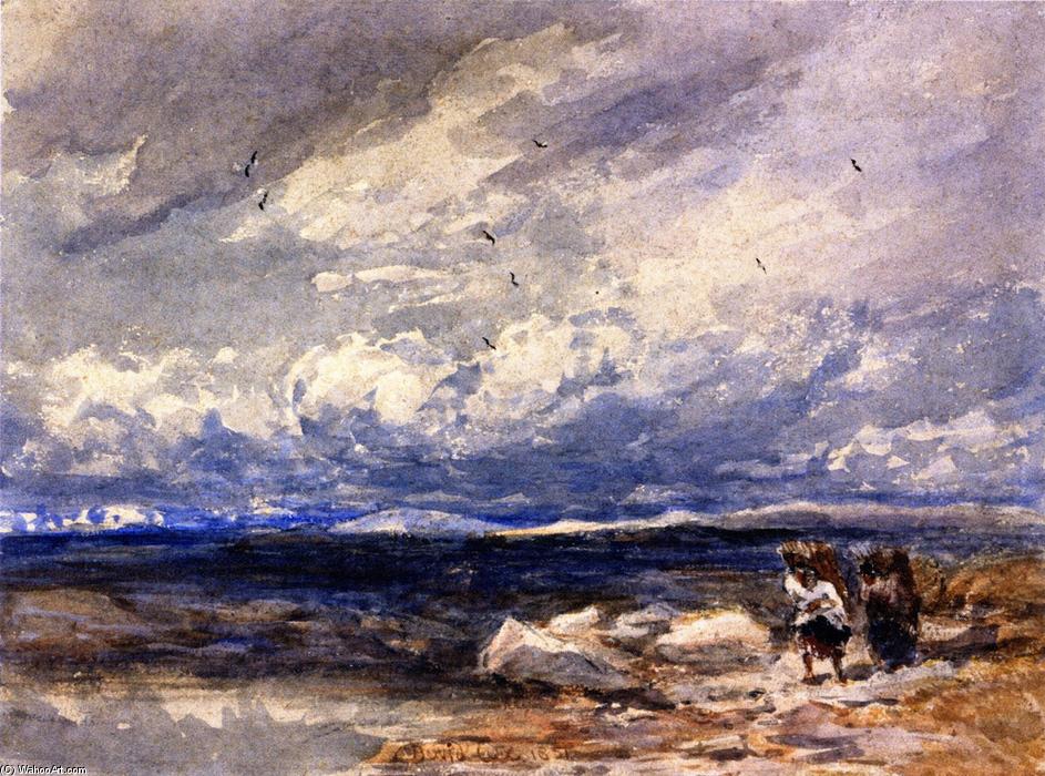 On Carrington Moss, Cheshire — David Cox