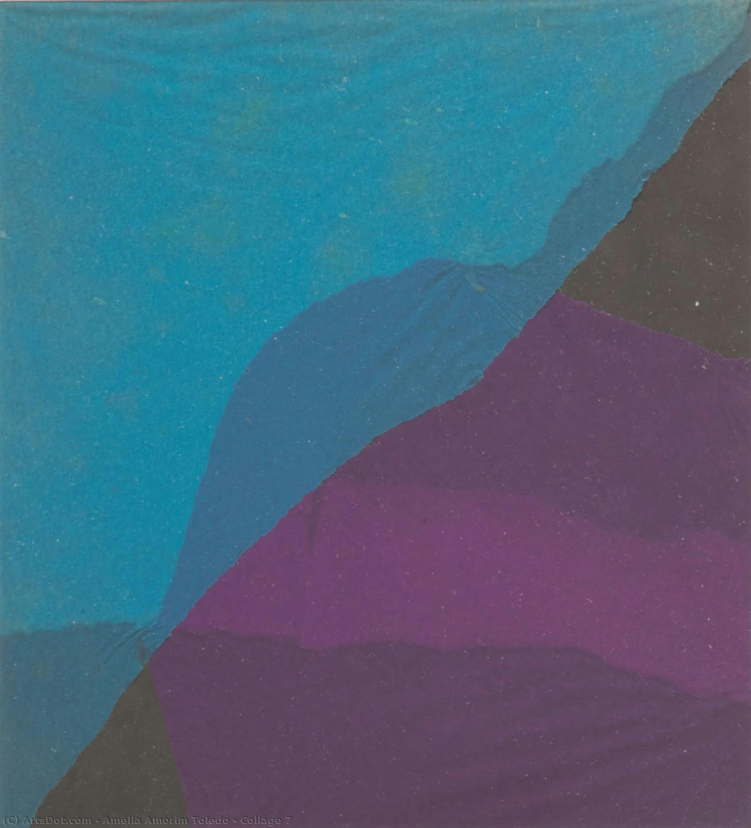 Collage 7 — Amelia Amorim Toledo