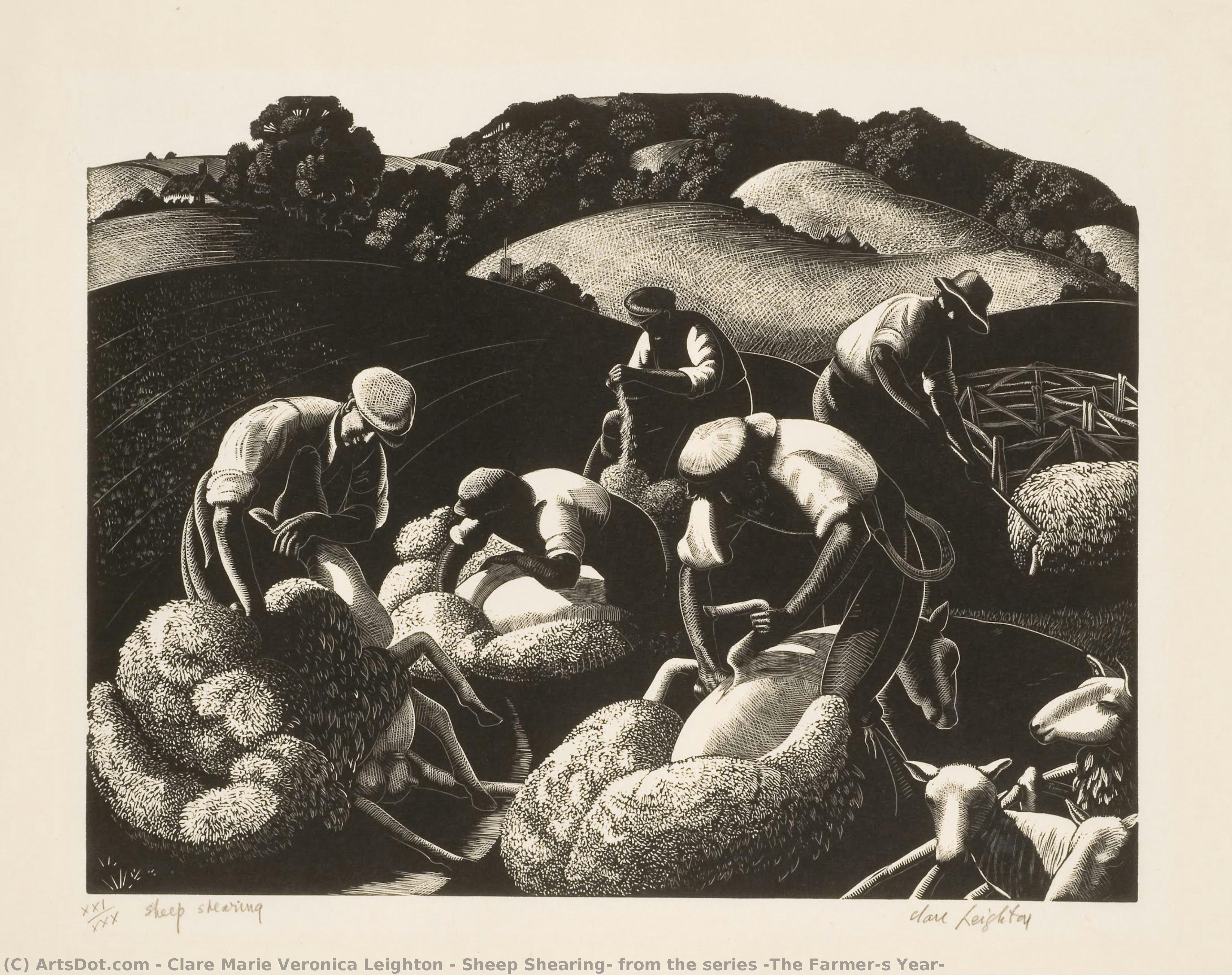 Sheep Shearing, From The Series “the Farmer’s Year” — Clare Leighton