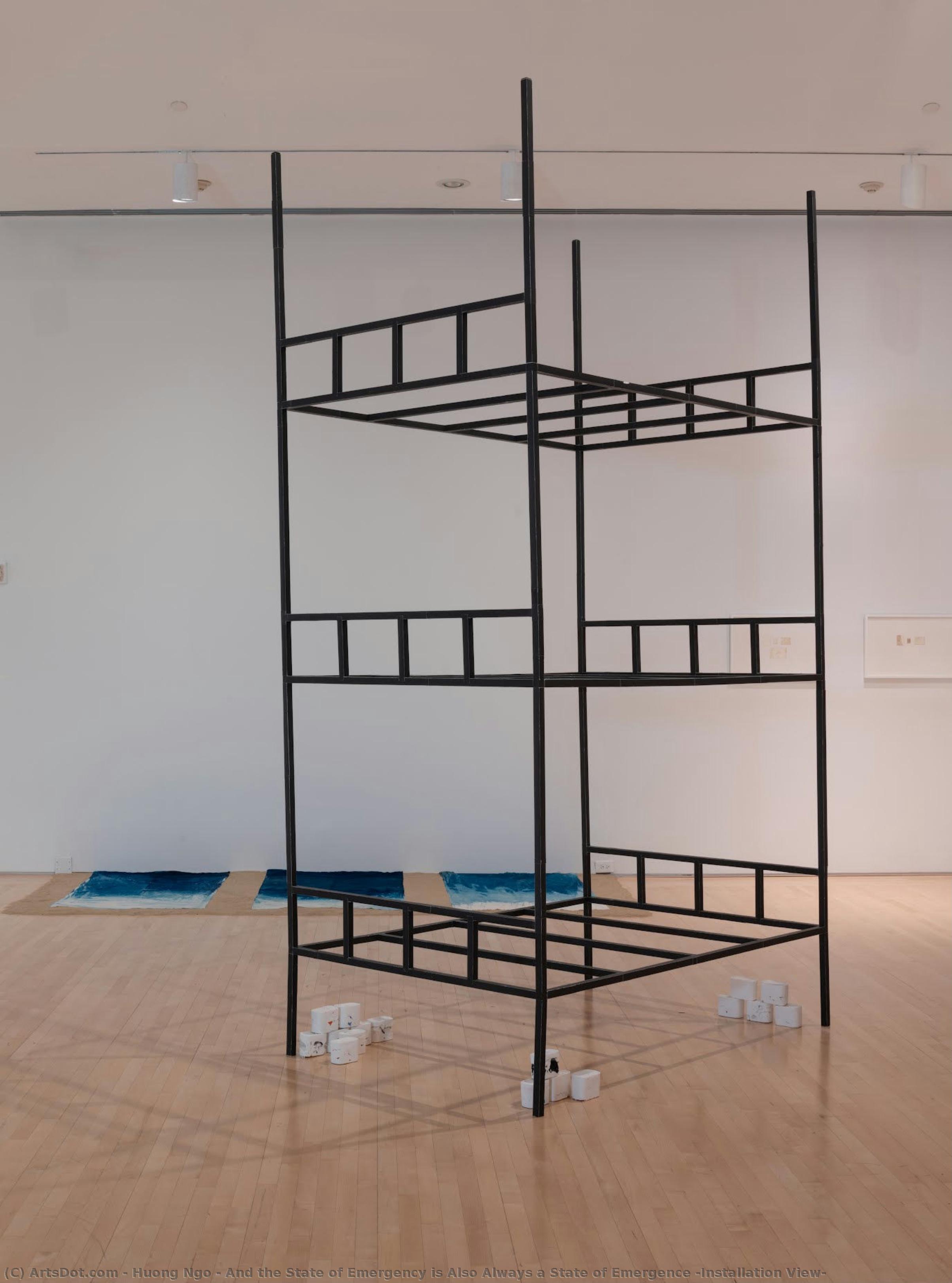 And The State Of Emergency Is Also Always A State Of Emergence (installation View) — Huong Ngo
