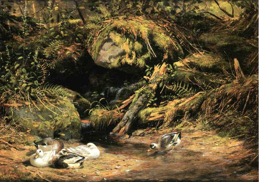 Ducks At The Spring Head — Arthur Fitzwilliam Tait