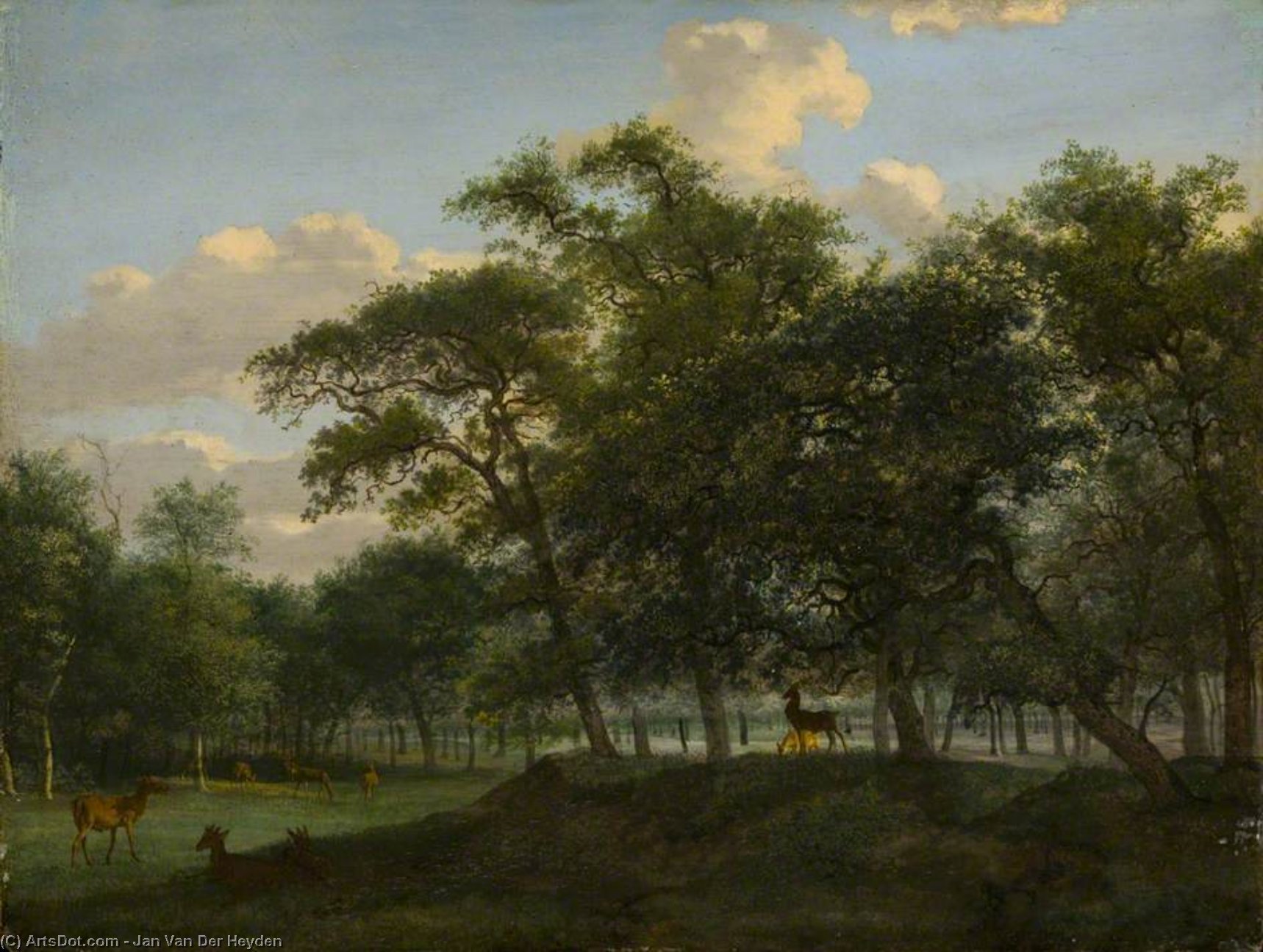 Wooded Park Landscape With Deer — Jan Van Der Heyden