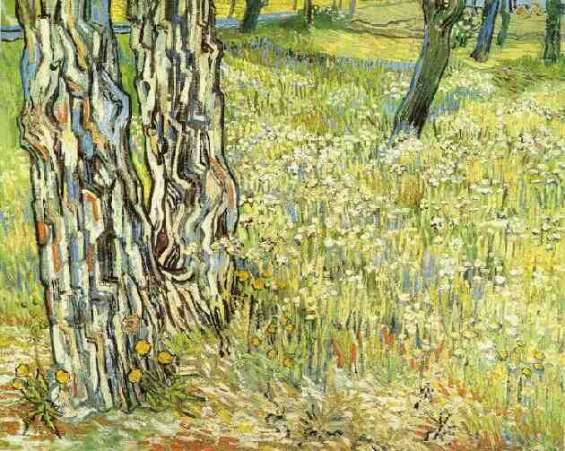 Pinien Und Löwenzahn Im Garten Des Saint-paul Hospitals — Vincent Willem Van Gogh