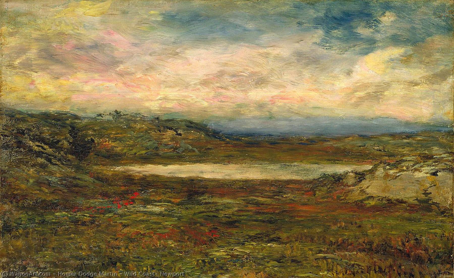 Wild Coast, Newport — Homer Dodge Martin