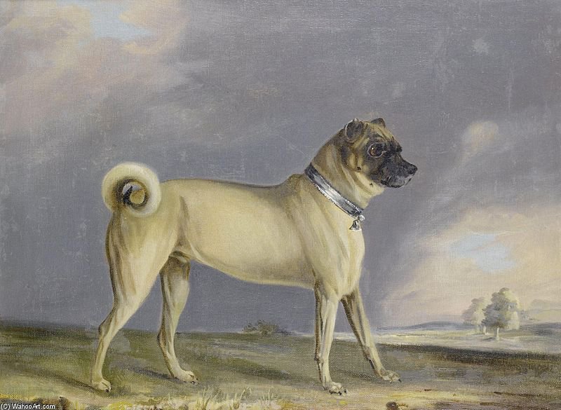 A Pug Dog — Henry Bernard Chalon