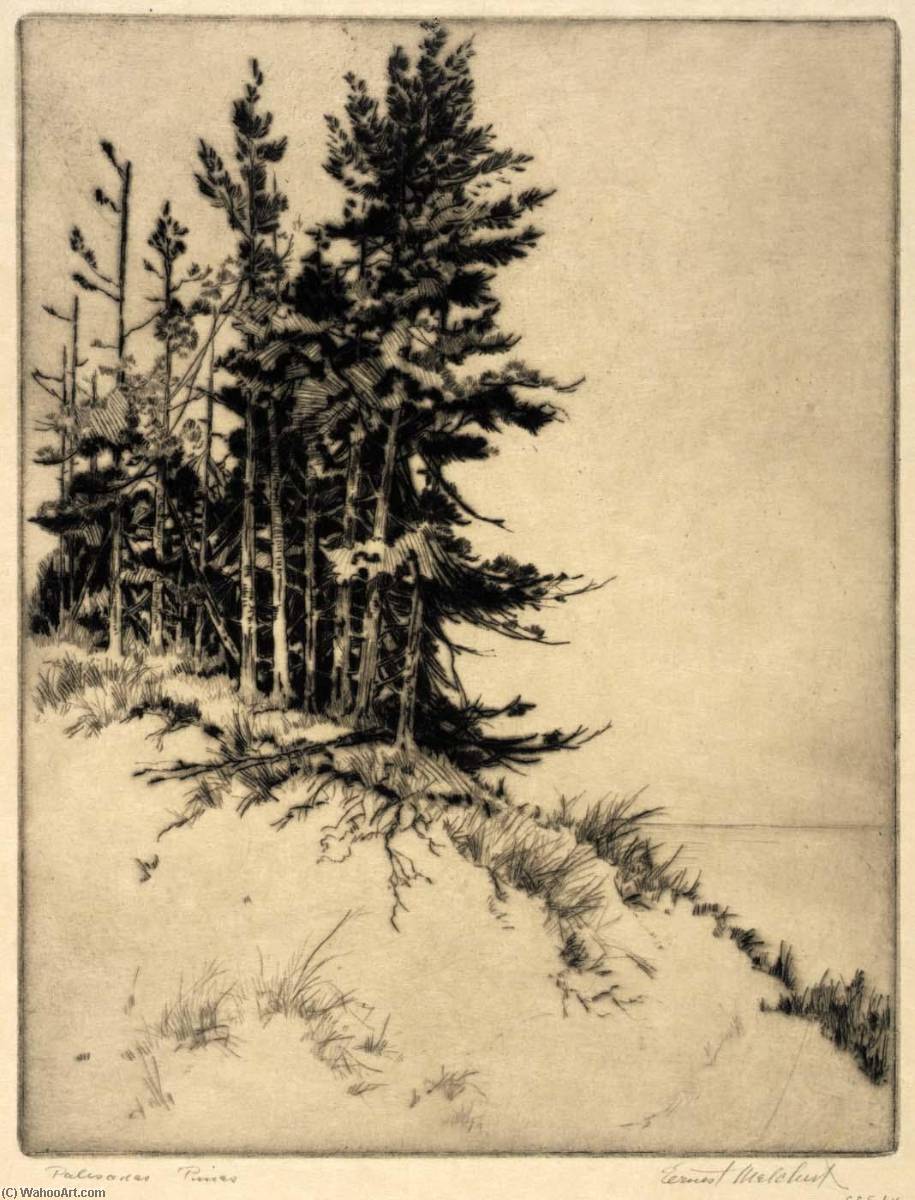 Palisades Pines — Ernest A Melchert