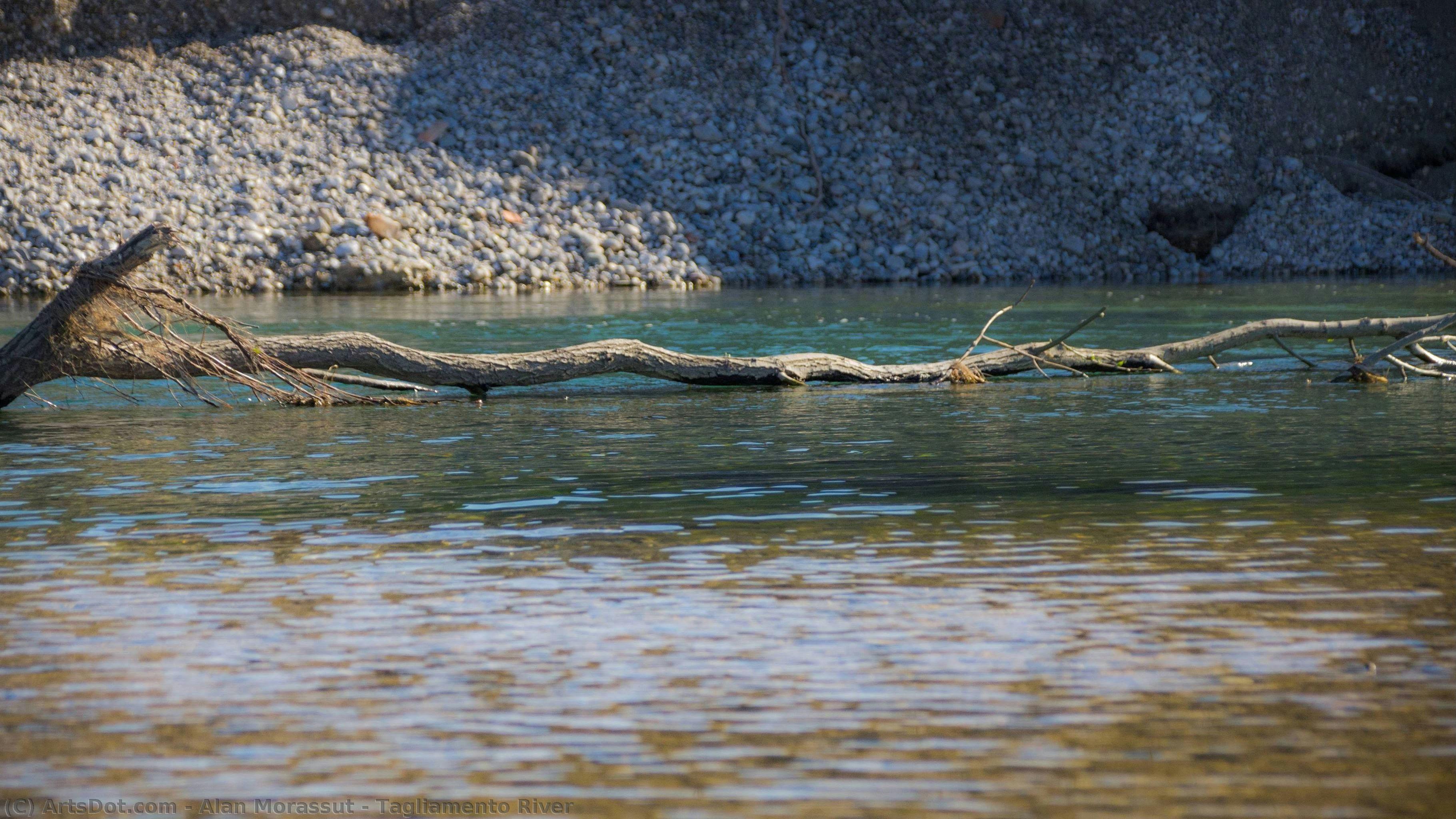 Tagliamento River — Alan Morassut