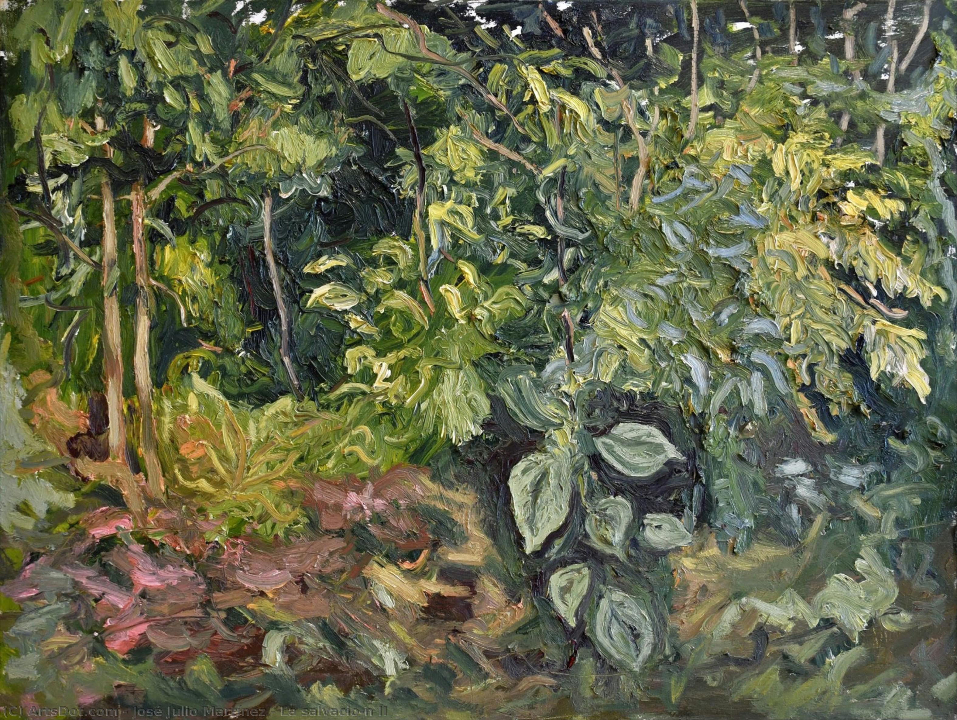 La Salvación Ii — José Julio Martínez