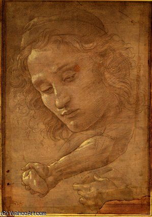 Head Of A Youth — Sandro Botticelli