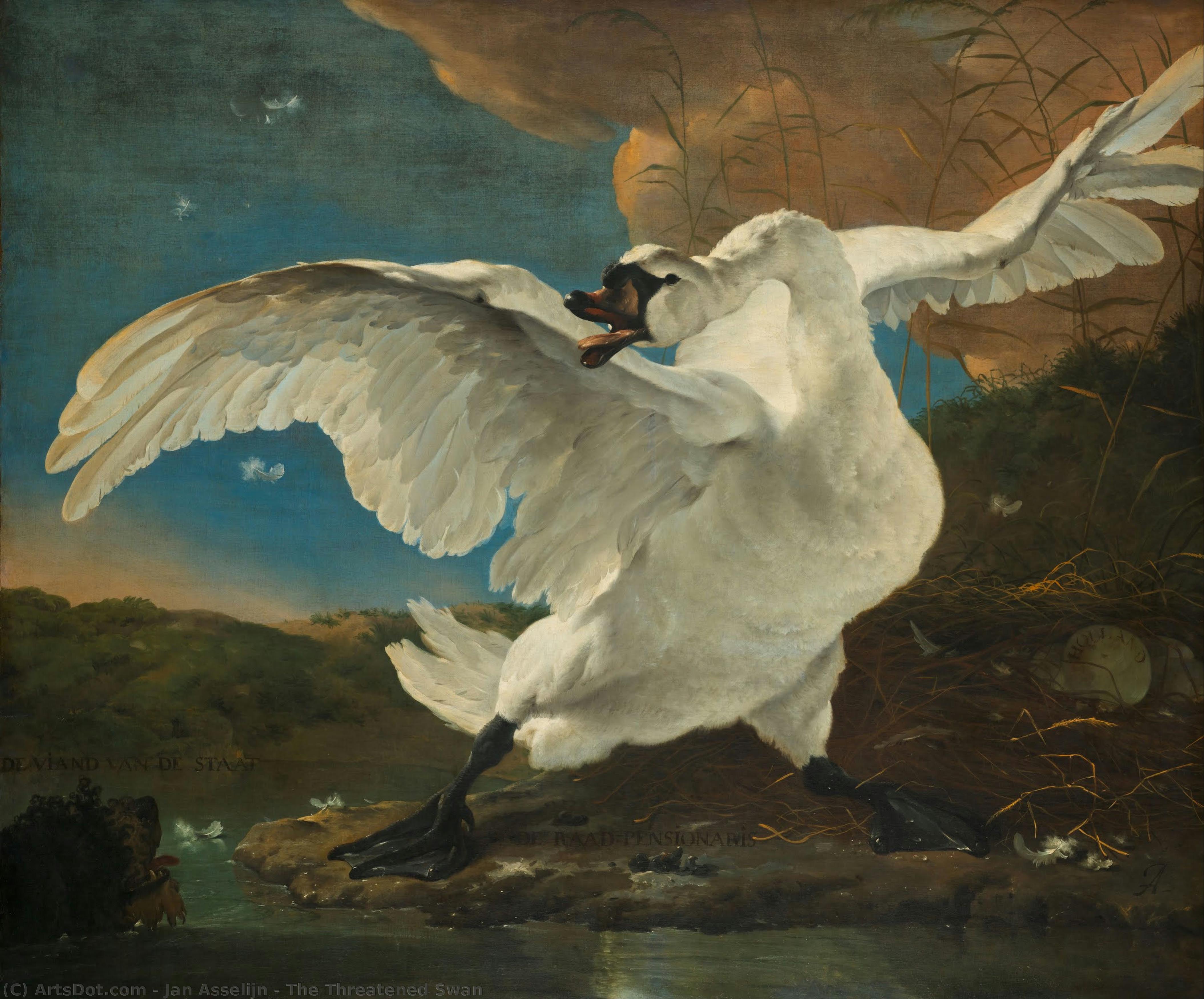 The Threatened Swan — Jan Asselijn