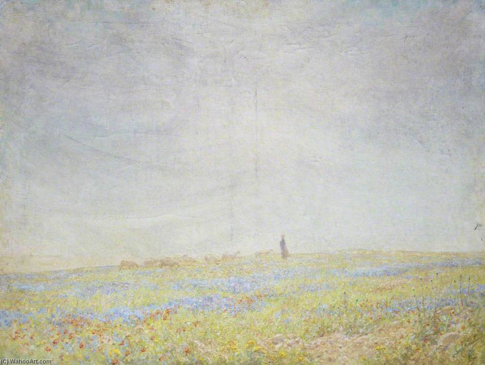 The Flowers Of The Fields, Galilee — Lindsay Grandison Macarthur