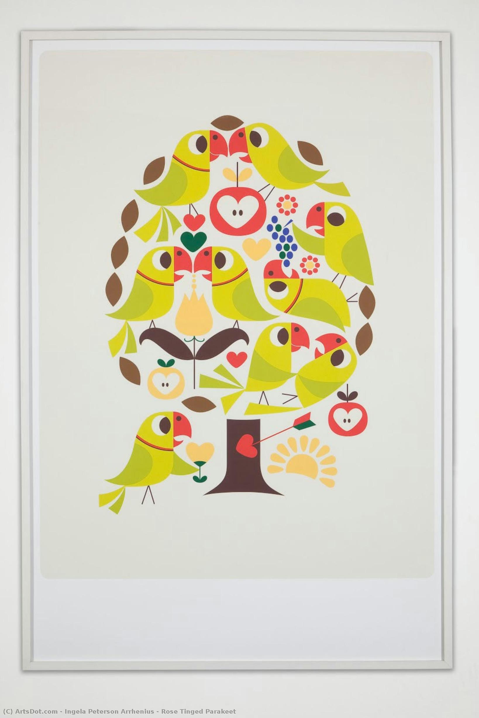 Rose Tinged Parakeet — Ingela Peterson Arrhenius