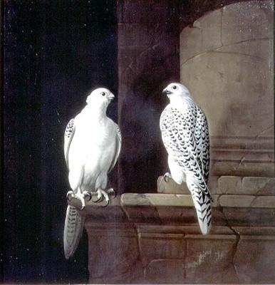 Untitled (aqttcr) — Jakob Bogdani