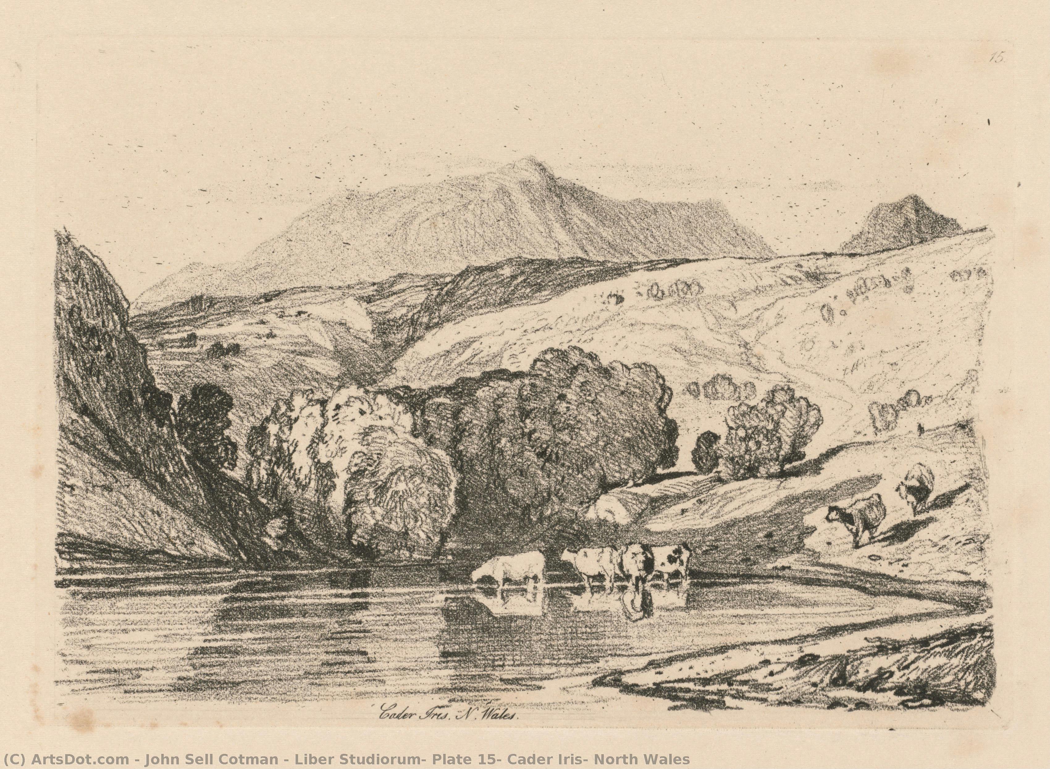 Liber Studiorum: Lámina 15, Cader Idris, Norte De Gales — John Sell Cotman
