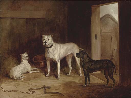 A Bulldog And Bullterriers In An Outhouse — Abraham Cooper