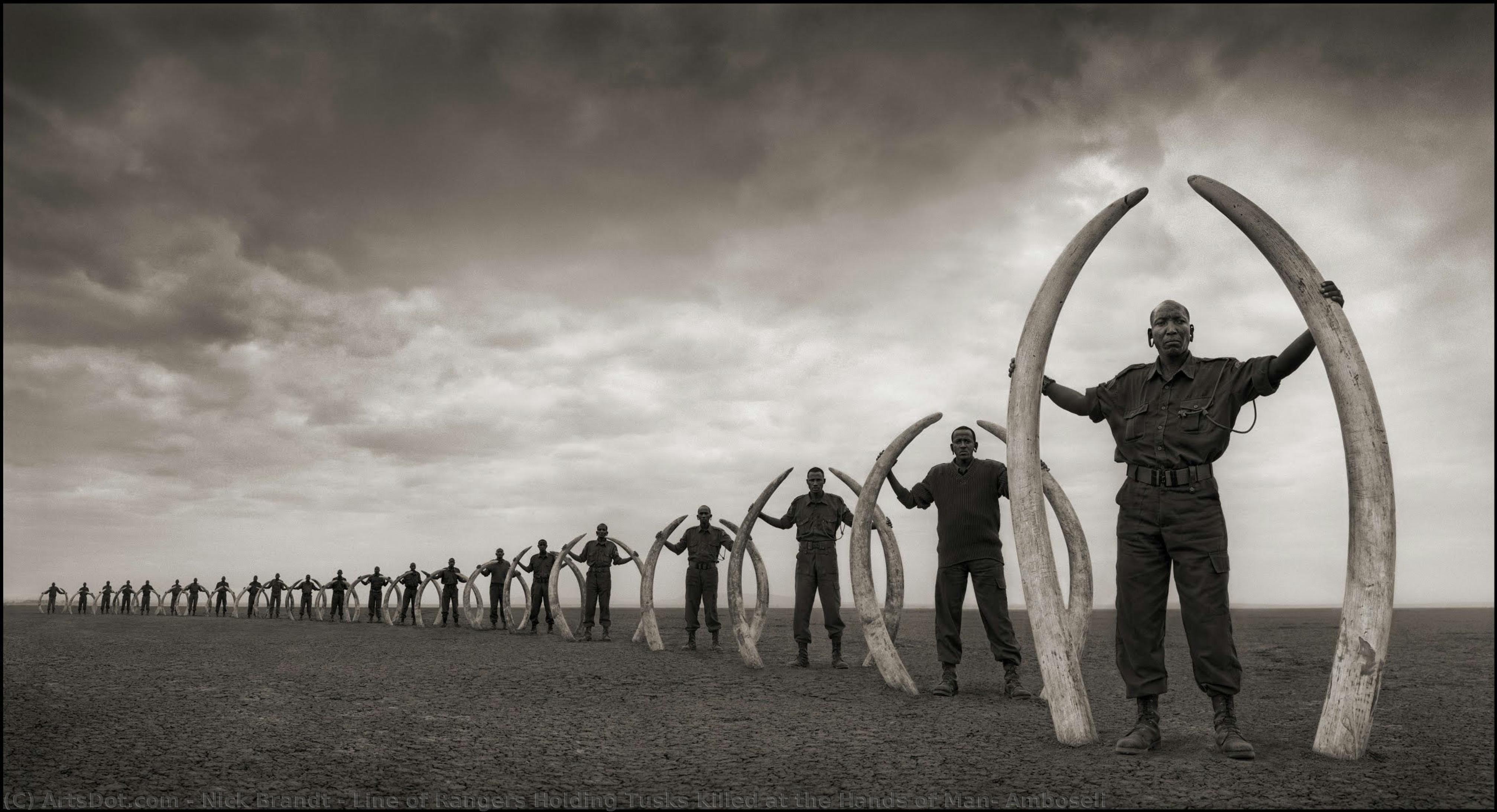 Line Of Rangers Holding Tusks Killed At The Hands Of Man, Amboseli — Nick Brandt