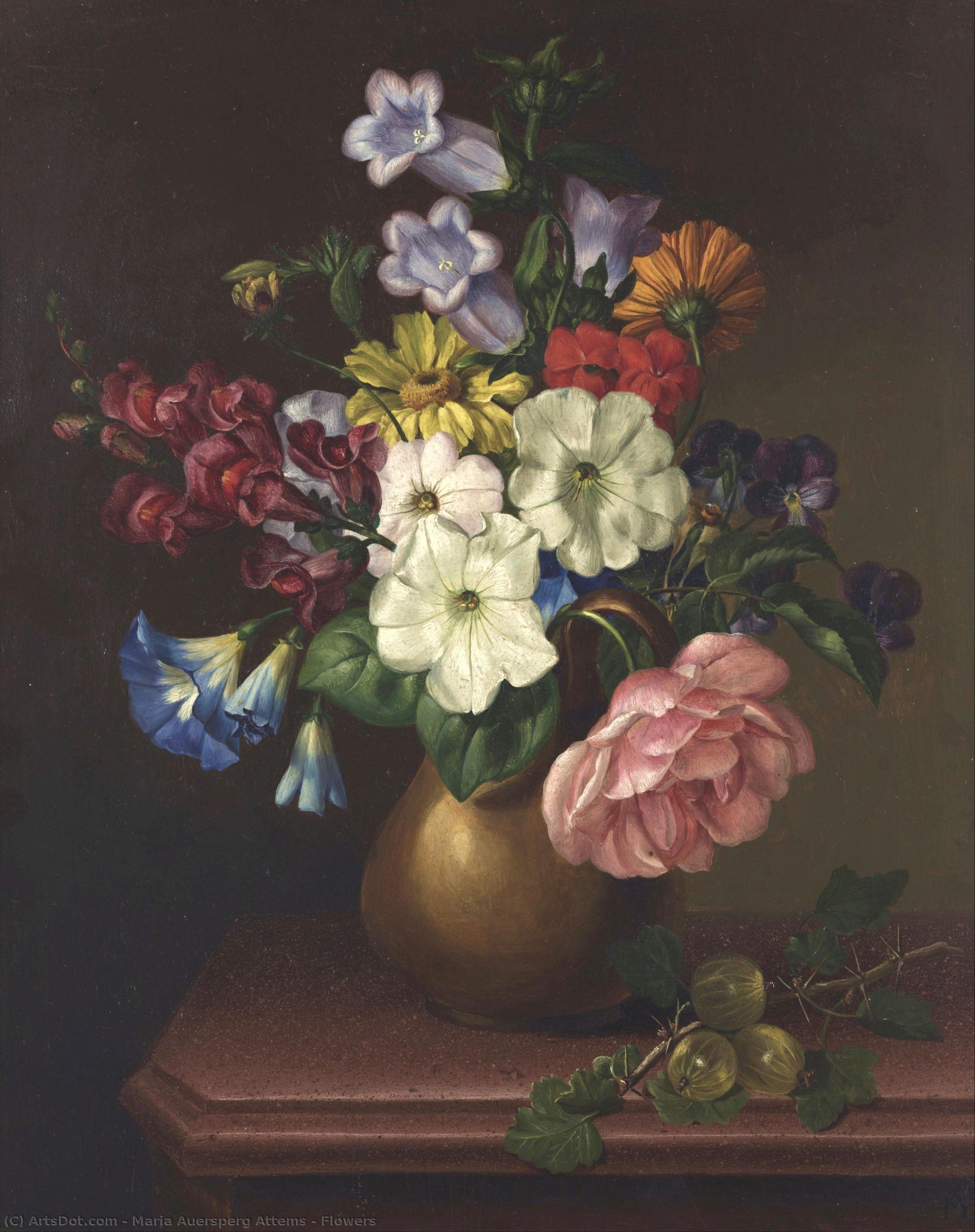 Flowers — Maria Auersperg Attems