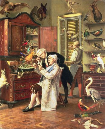 The Taxidermist - — François Brunery