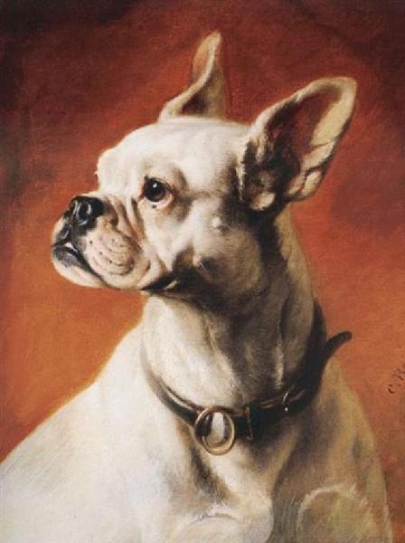 A French Bulldog — Carl Reichert